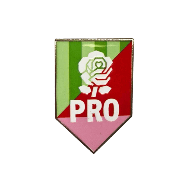Pin PNG2